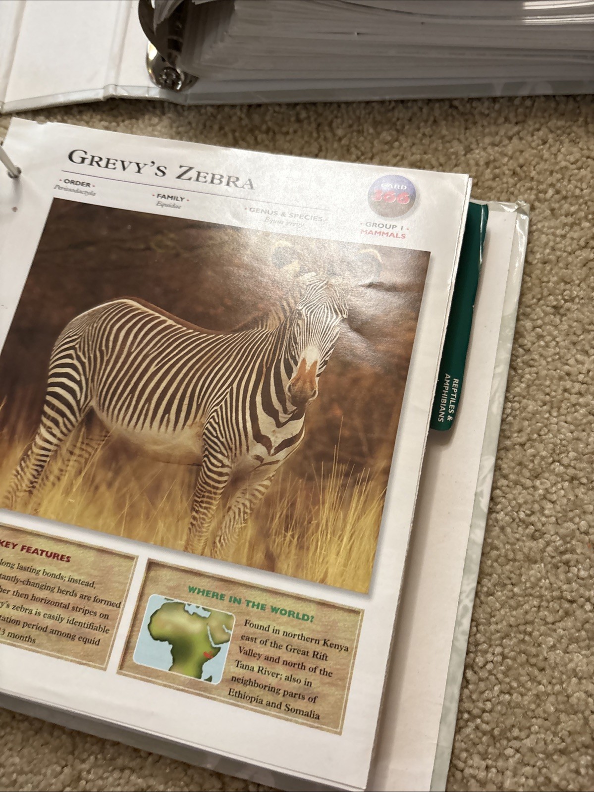 WILDLIFE EXPLORER ~ 3 Binders Full w/Animal Science Groups Various Pages