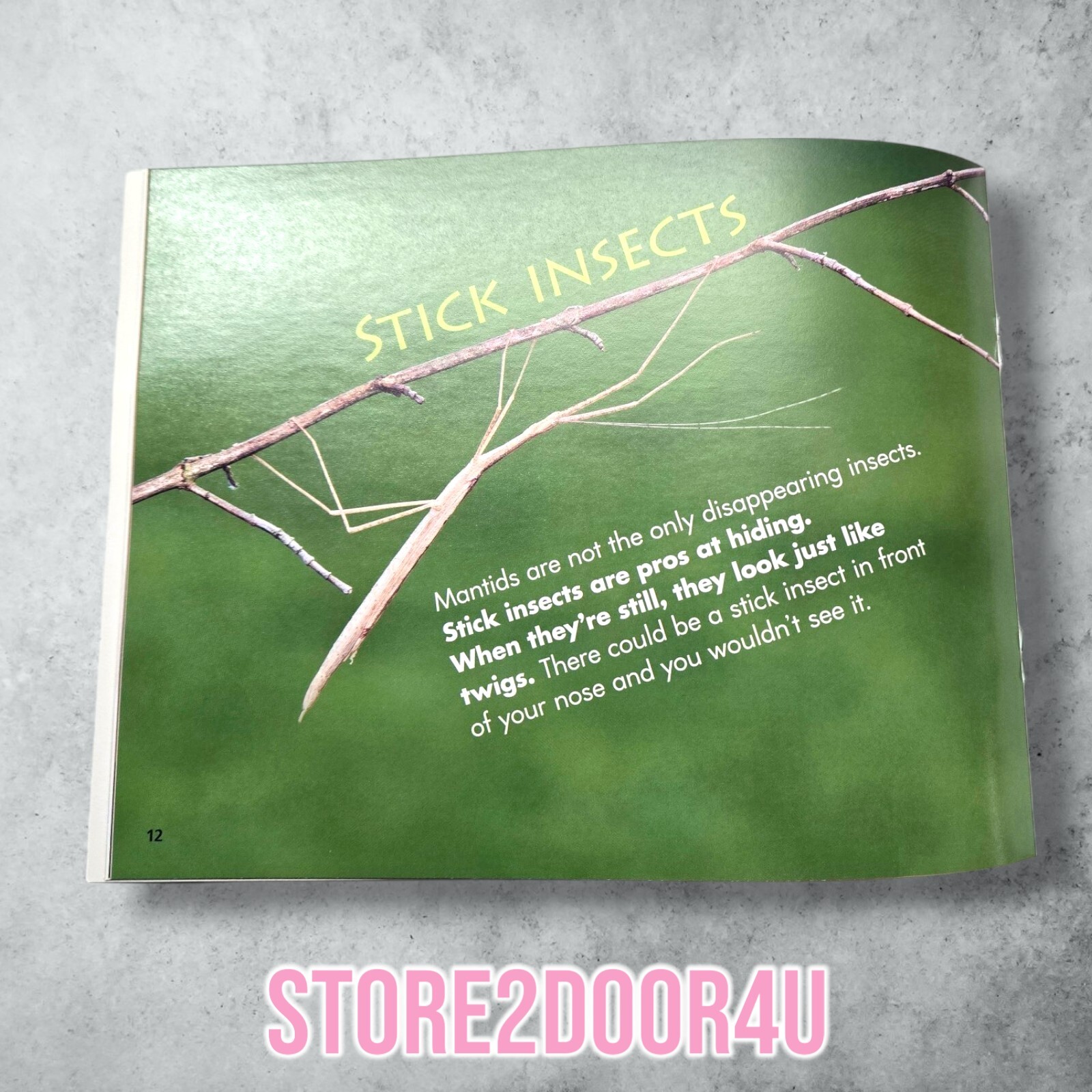SuperKids – Insect Pets – 1st Grade Student Book Rowland Reading Program