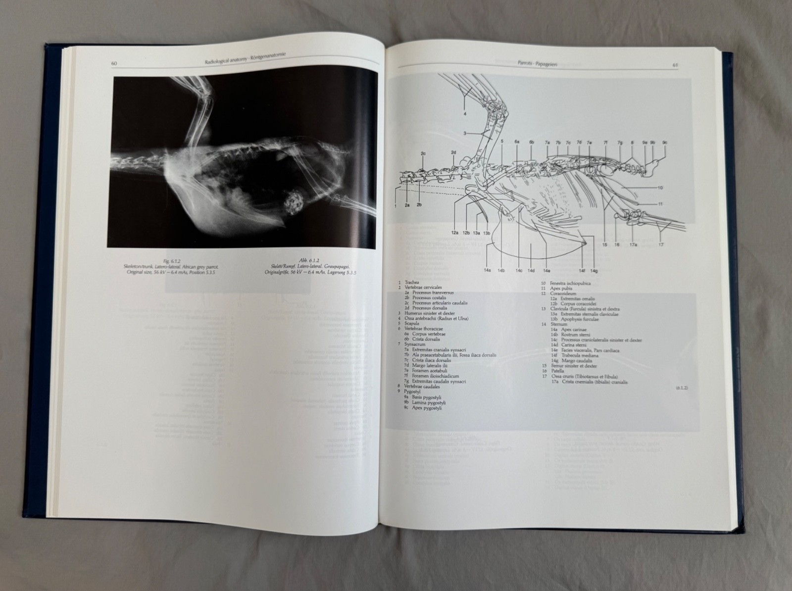 Atlas of Radiographic Anatomy and Diagnosis of Cage Birds, Krautwald, Veterinary