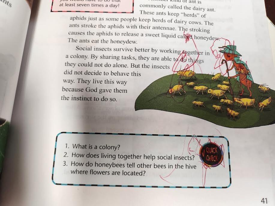 BJU Bob Jones Science 4th grade mixed lot see description