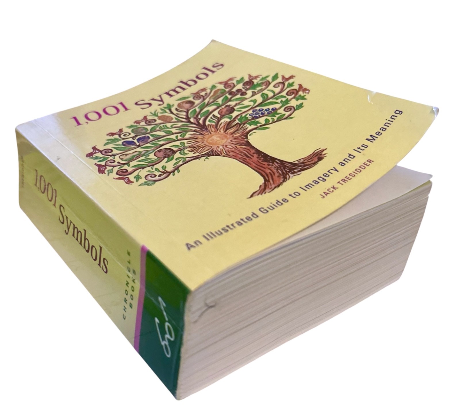 1001 Symbols: An Illustrated Guide to Imagery and Its Meaning- Jack Tresidder
