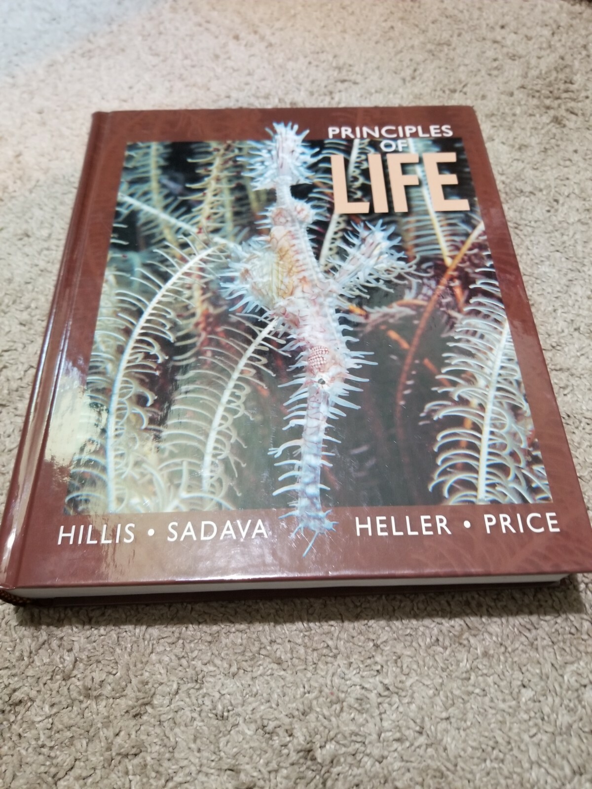 Principles of Life 2012 Hardcover – Hillis Sadava Heller Price