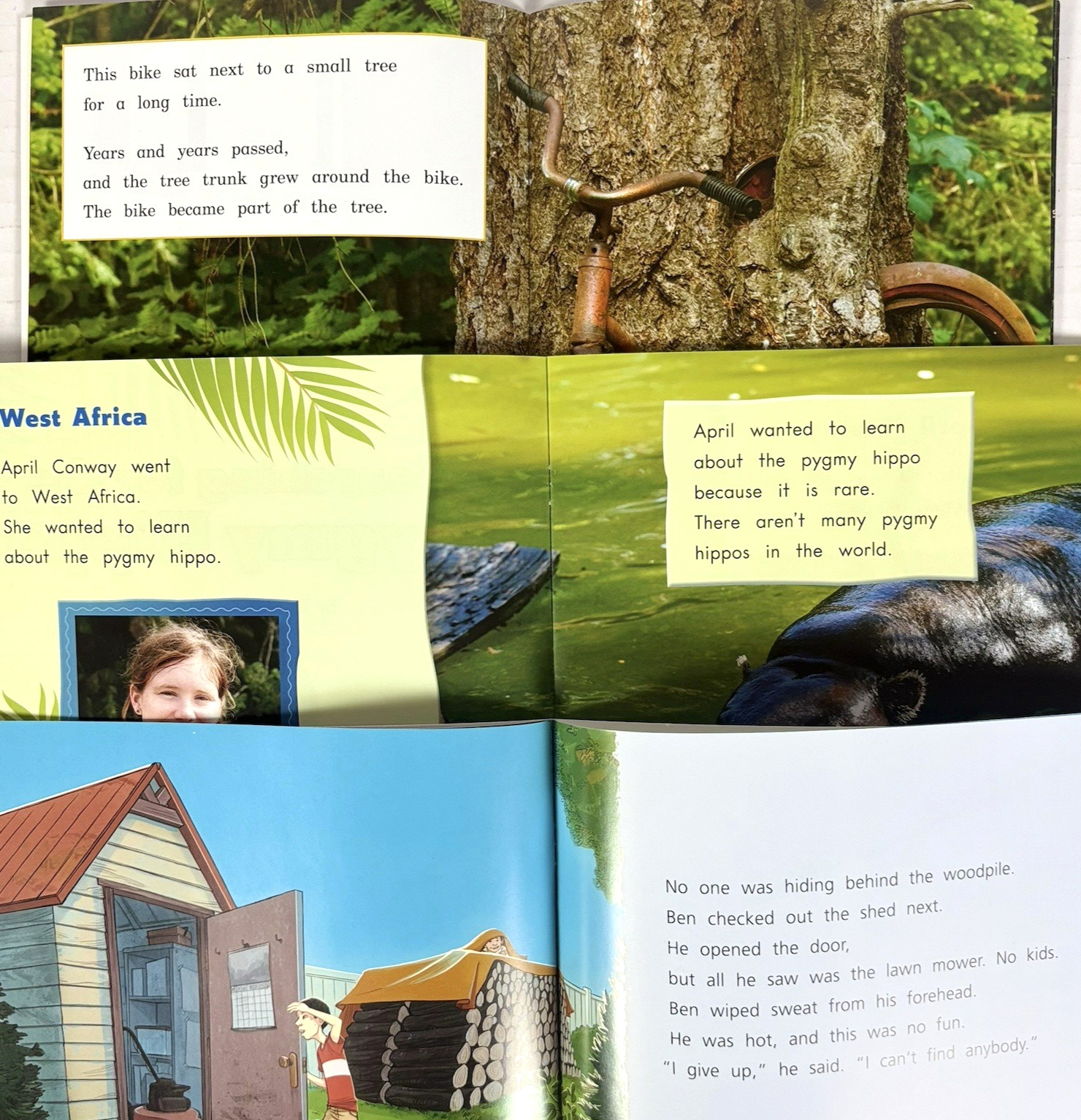 FOUNTAS & PINNELL 3rd Grade Level I-S Guided Readers Complete 200-Book Library