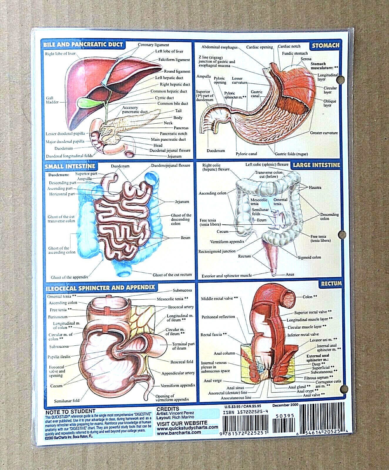 Quick Study Academic Chart Digestive System Exam Test Prep Laminated