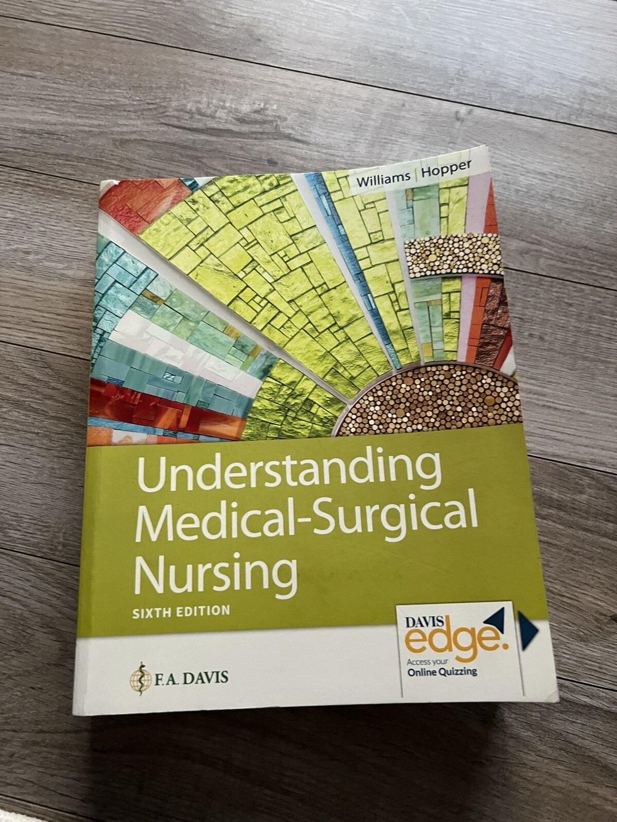 Understanding Medical-Surgical Nursing by Paula D. Hopper and Linda S. Williams