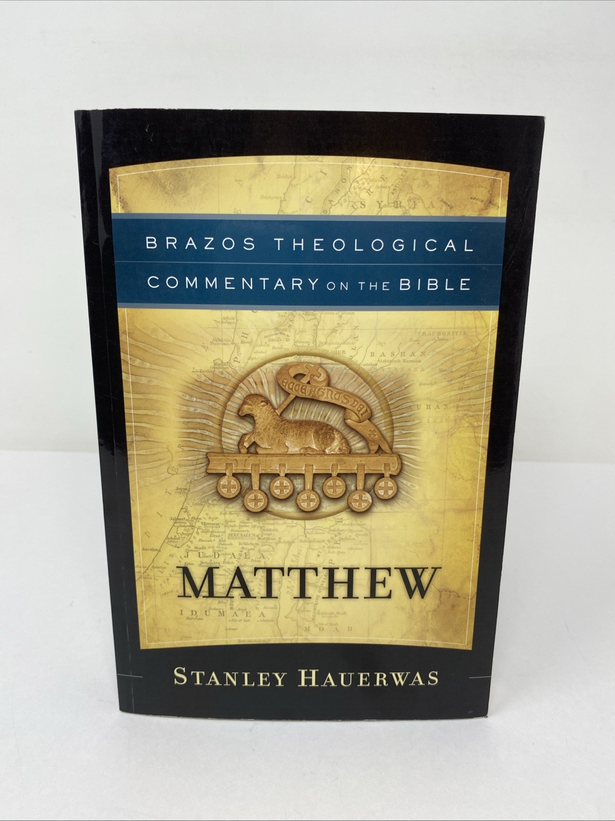 Matthew Brazos Commentary Hauerwas Paperback 2015 Clean Pages Theology