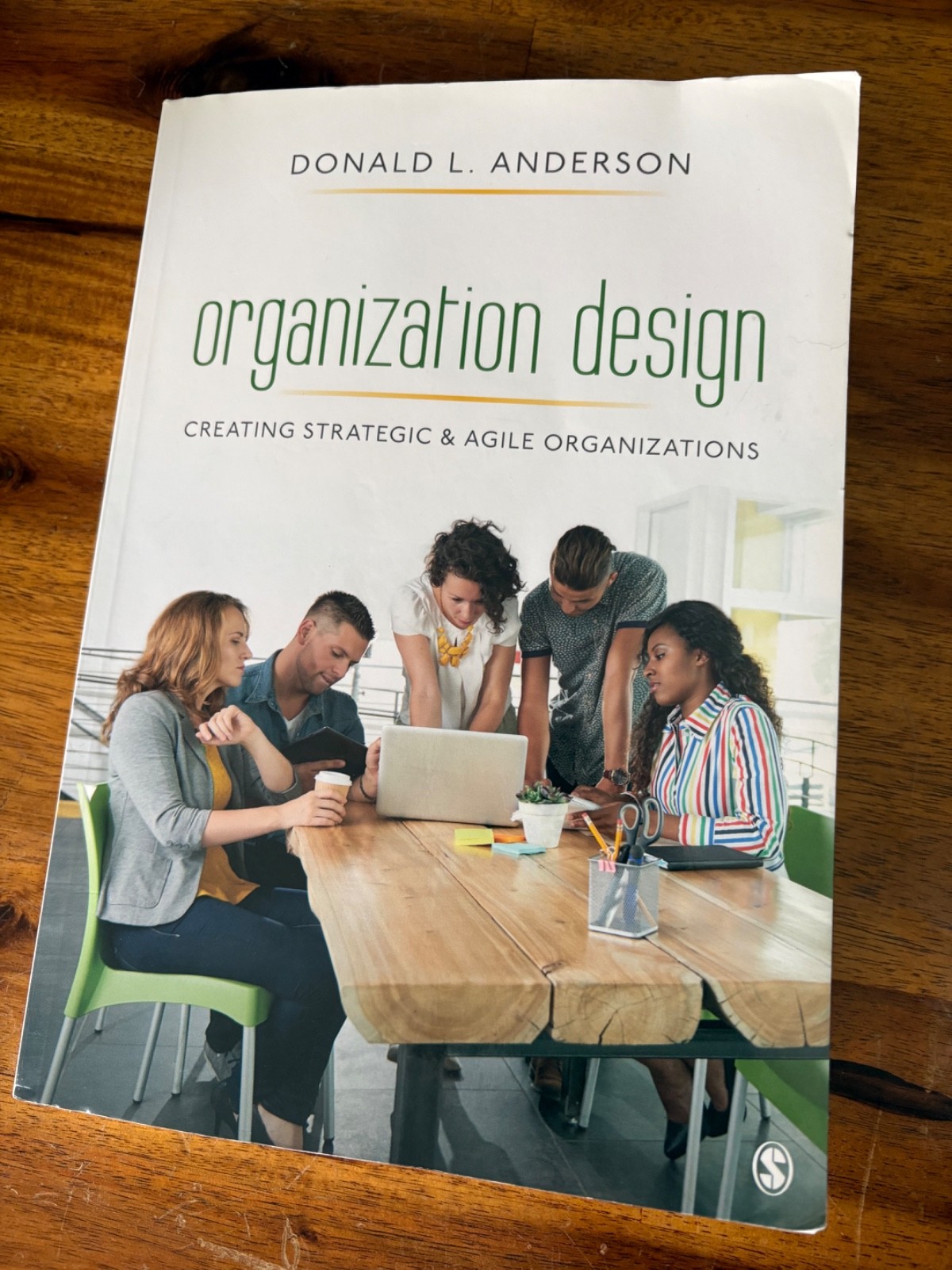 Organization Design: Creating – Paperback, by Anderson Donald L. – Acceptable