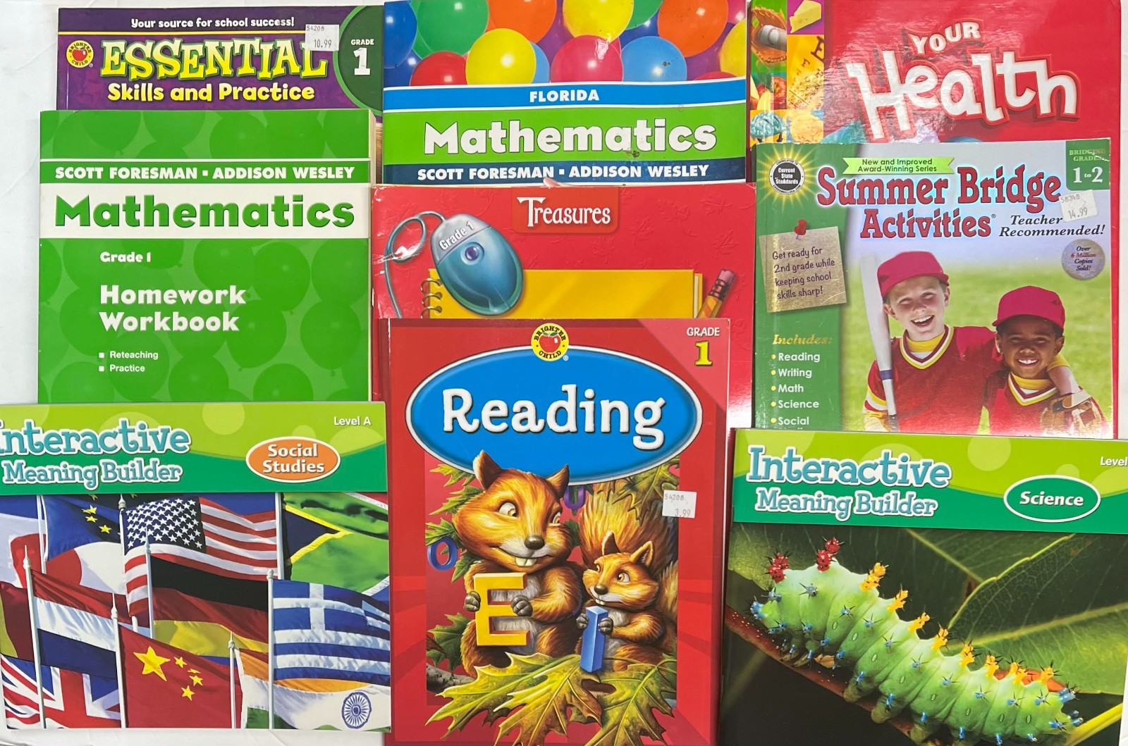 Grade 1 Curriculum Multi-Subject Homeschool 1st Student Bundle Homeschooling Lot