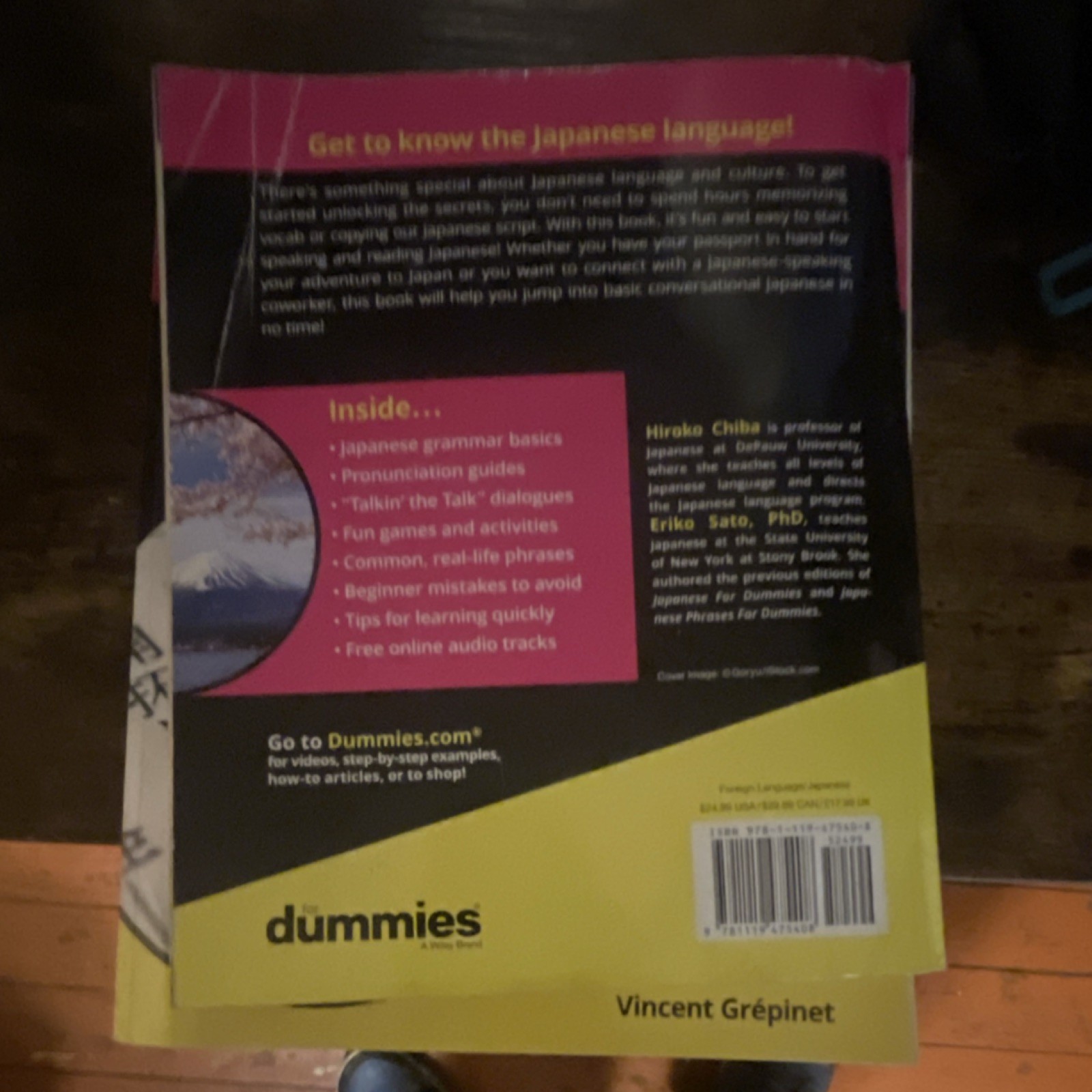 Japanese For Dummies & Japanese Character Writing