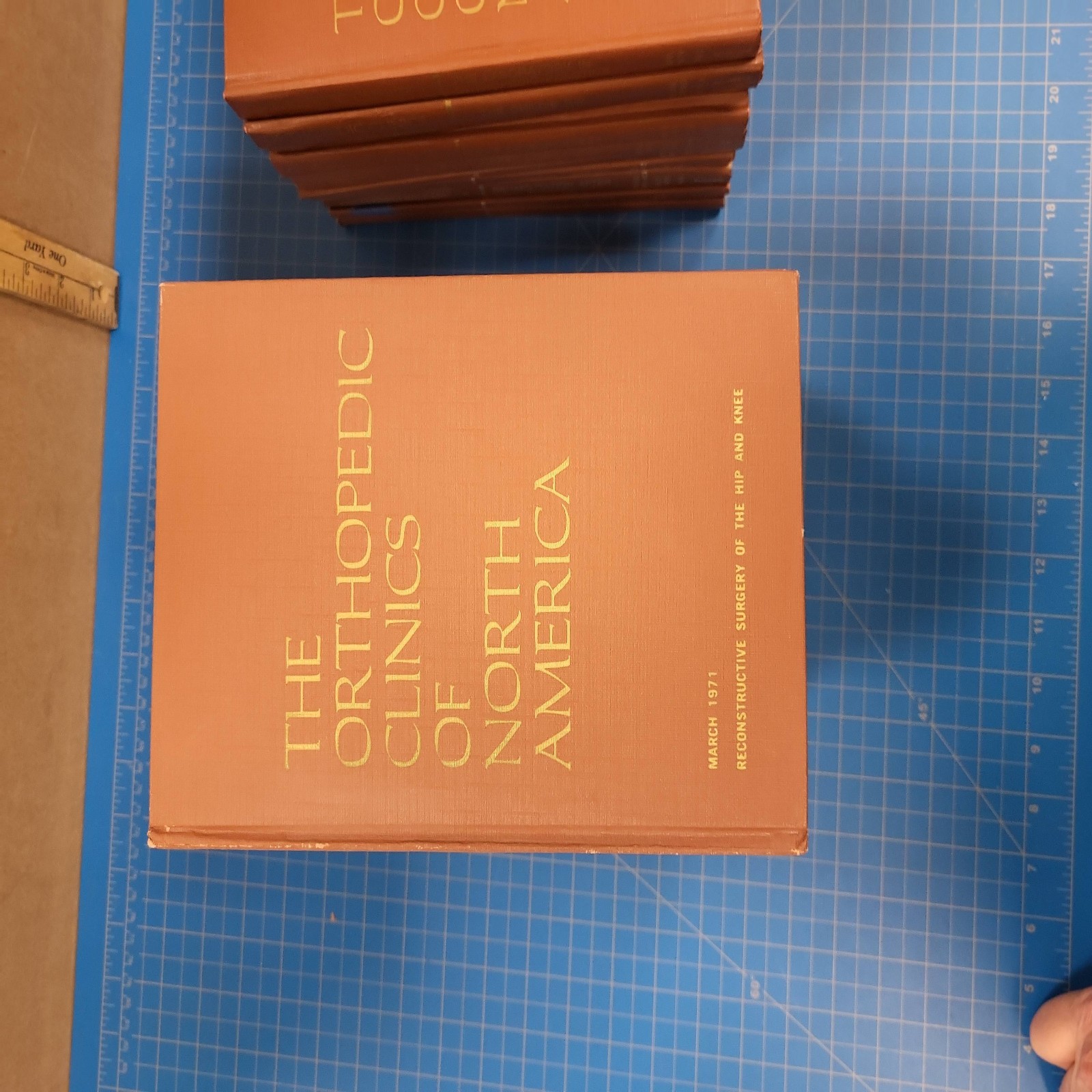 Orthopedic Clinics North America Medical Books 21 Volume Set Surgery Hip Spine