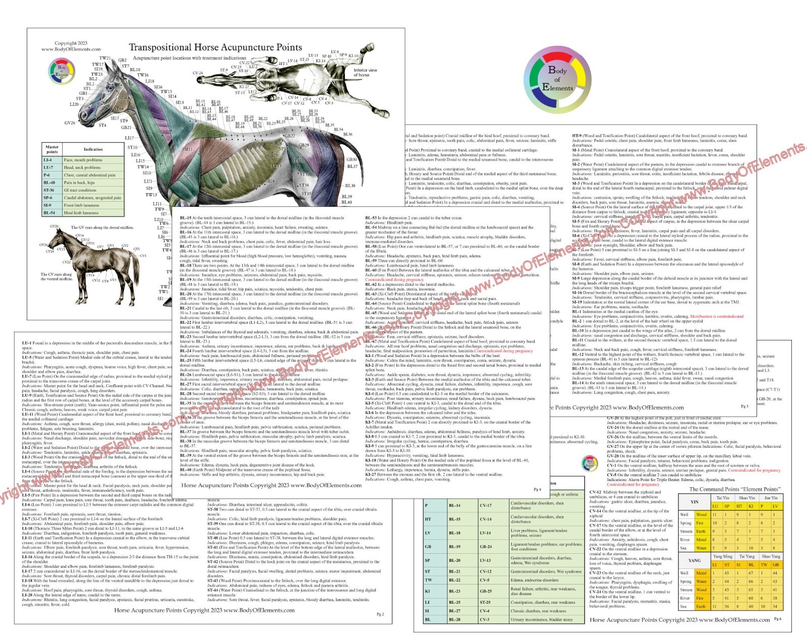 Horse Acupuncture Chart Set 8.5″ X 11″ Equine Acupressure Points Reference