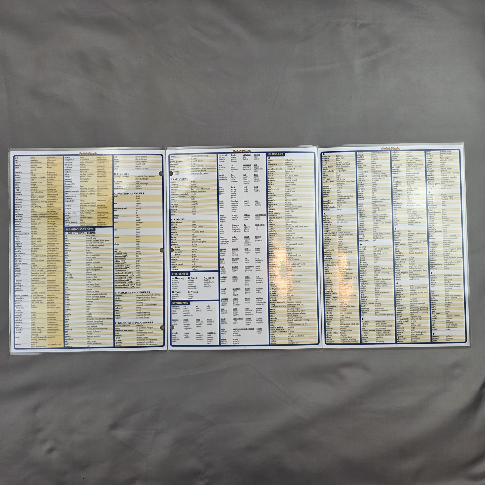 BarCharts QuickStudy Anatomy Terminology Abbreviations Laminated Charts Lot 5