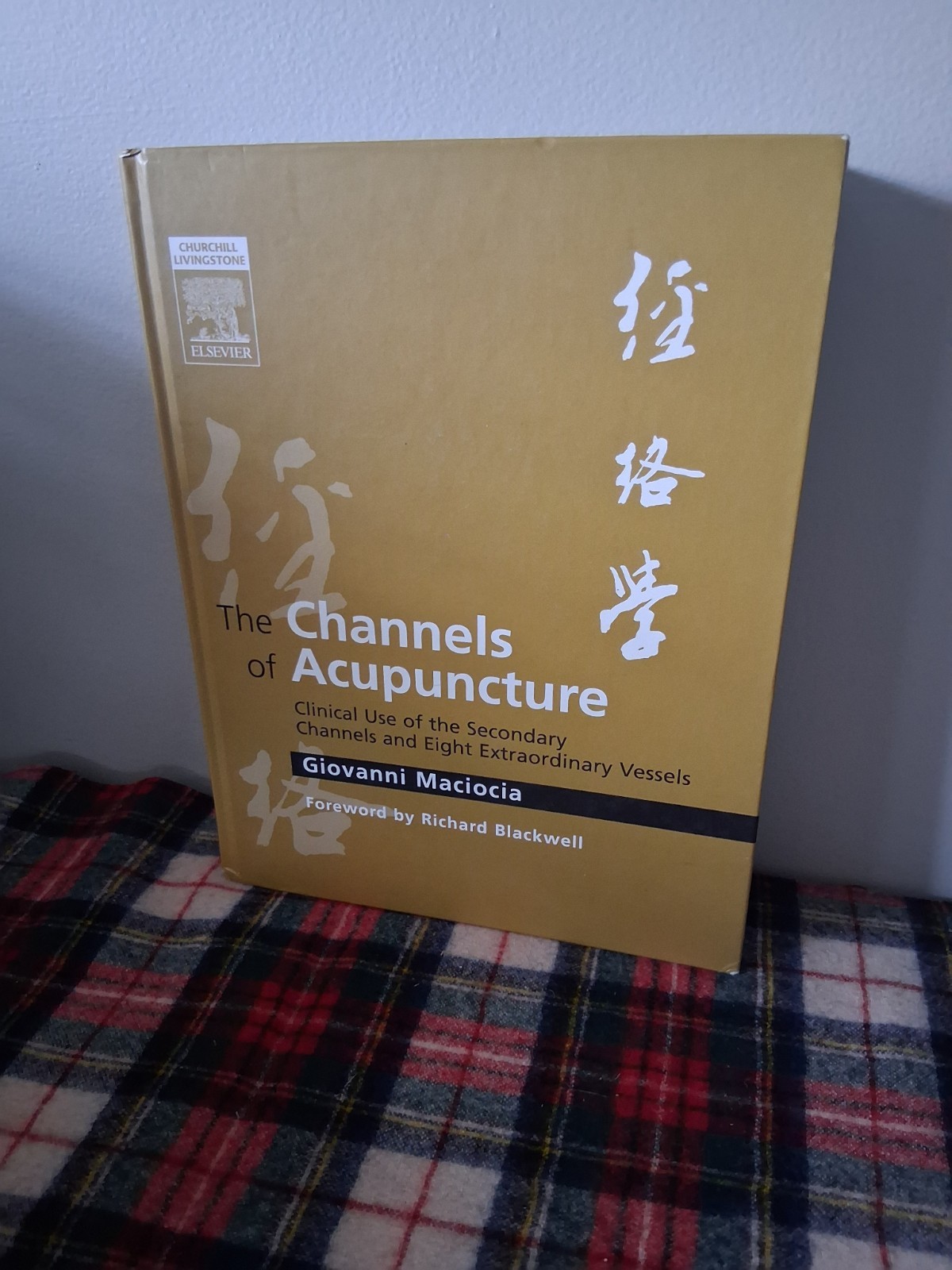 The Channels Of Acupuncture By Giovanni Maciocia