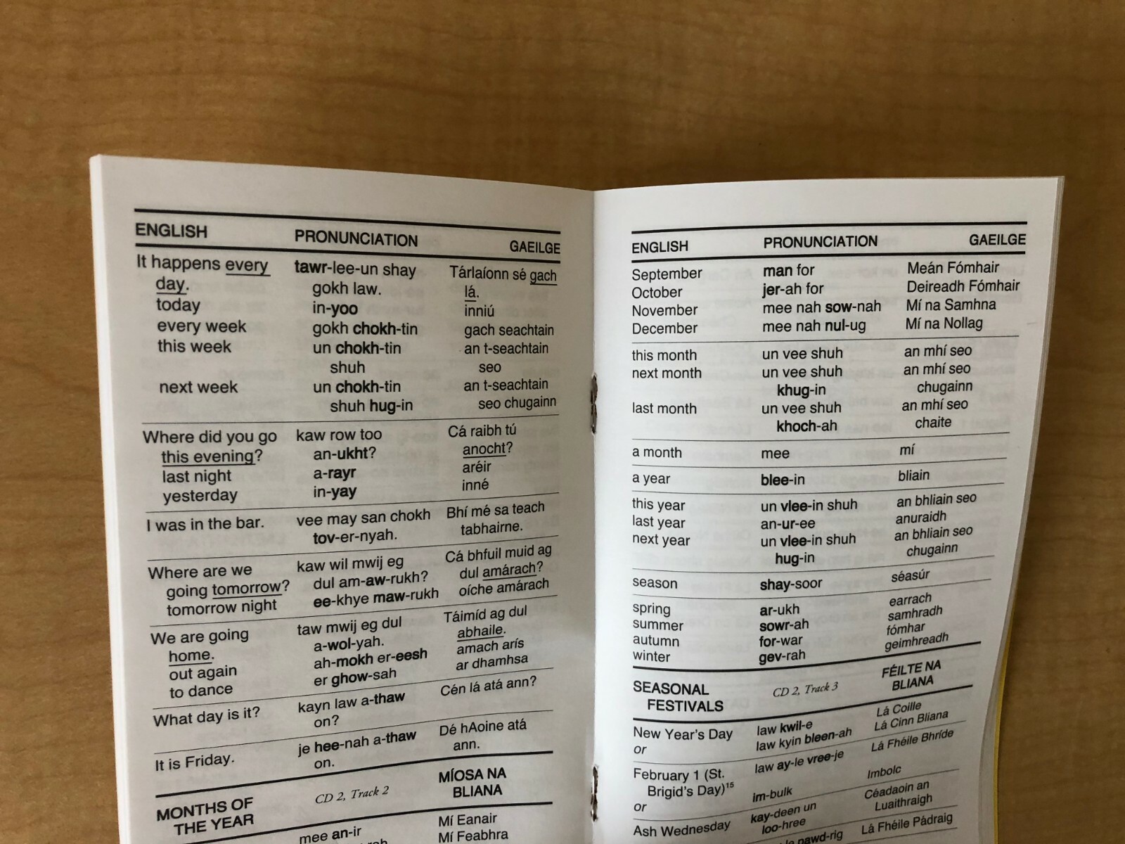 Irish Phrase Book / Dictionary – Pocket Size – by Language/30