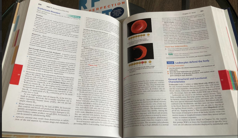 Human Anatomy and Physiology by Elaine Marieb and Katja Hoehn (2018, Hardcover)