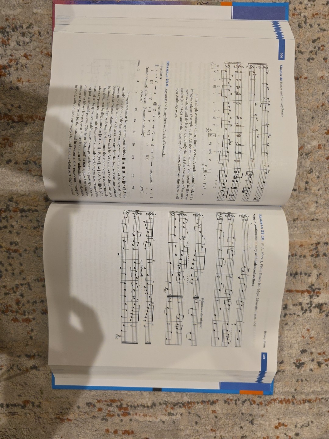 Musician’s Guide to Theory and Analysis by Elizabeth West Marvin and Jane Piper