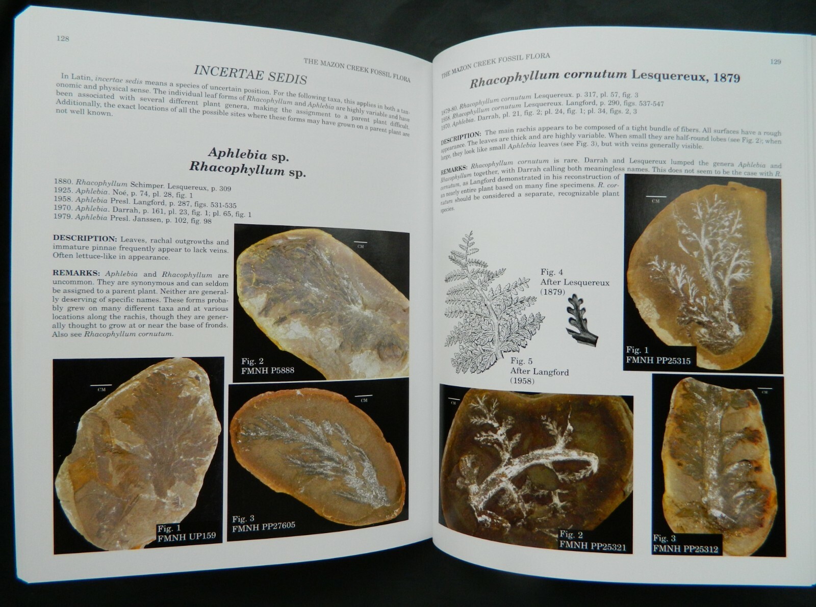The Mazon Creek Fossil Flora, ESCONI hard cover book, fossil plants, 2006 Wittry