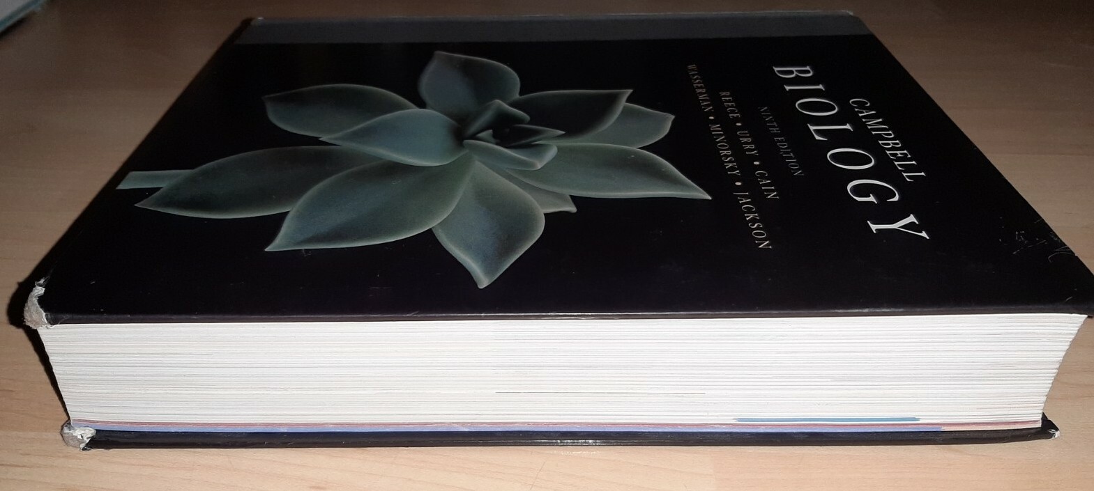 Campbell Biology 9th edition Hardcover – Pre-owned + Free Shipping!