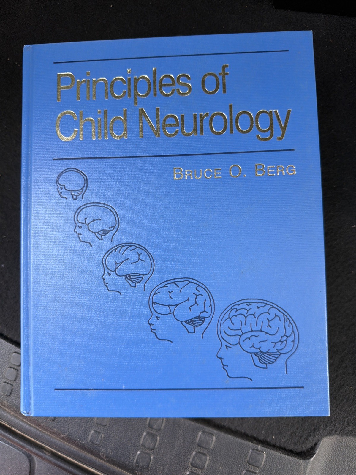 Principles of Child Neurology by Bruce Berg (1996, Hardcover)