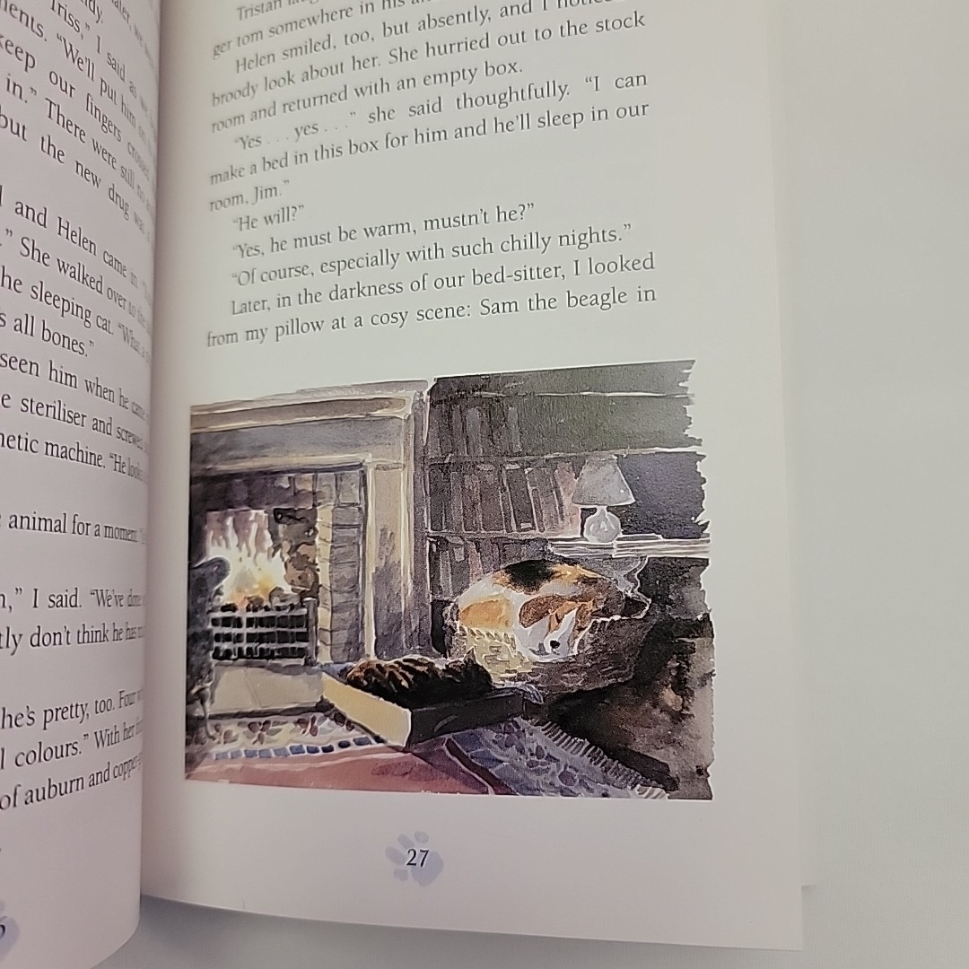 James Herriot’s Cat Stories 1994 First Ed St Martins HC/DJ Illustrated Holmes