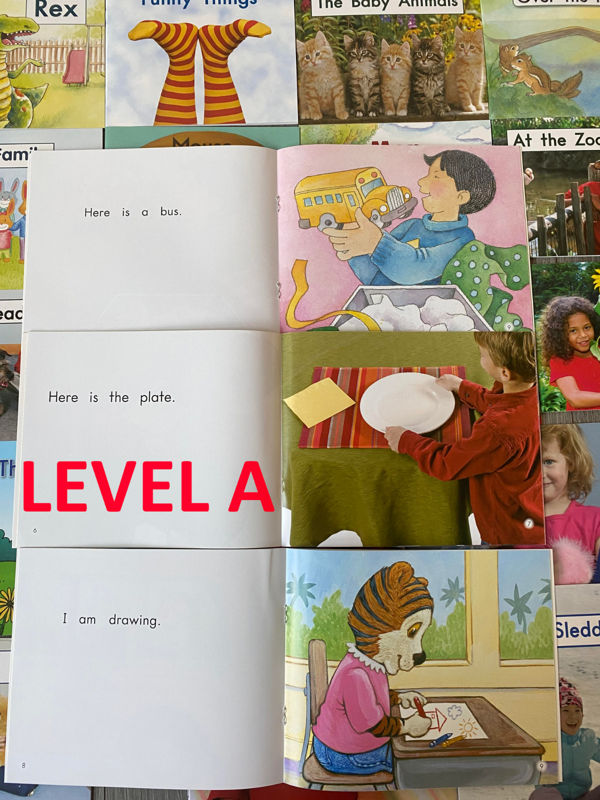 Fountas & Pinnell LLI Orange System Complete Set 1-110 Color Readers Level A-E