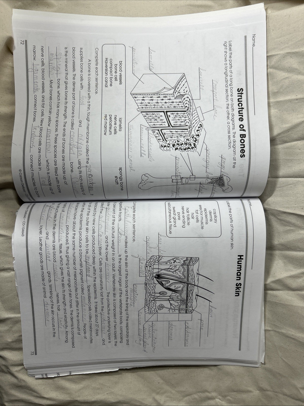 The 100+ Series (Tm) Ser.: Biology by Carson Dellosa Education (2015, Trade…