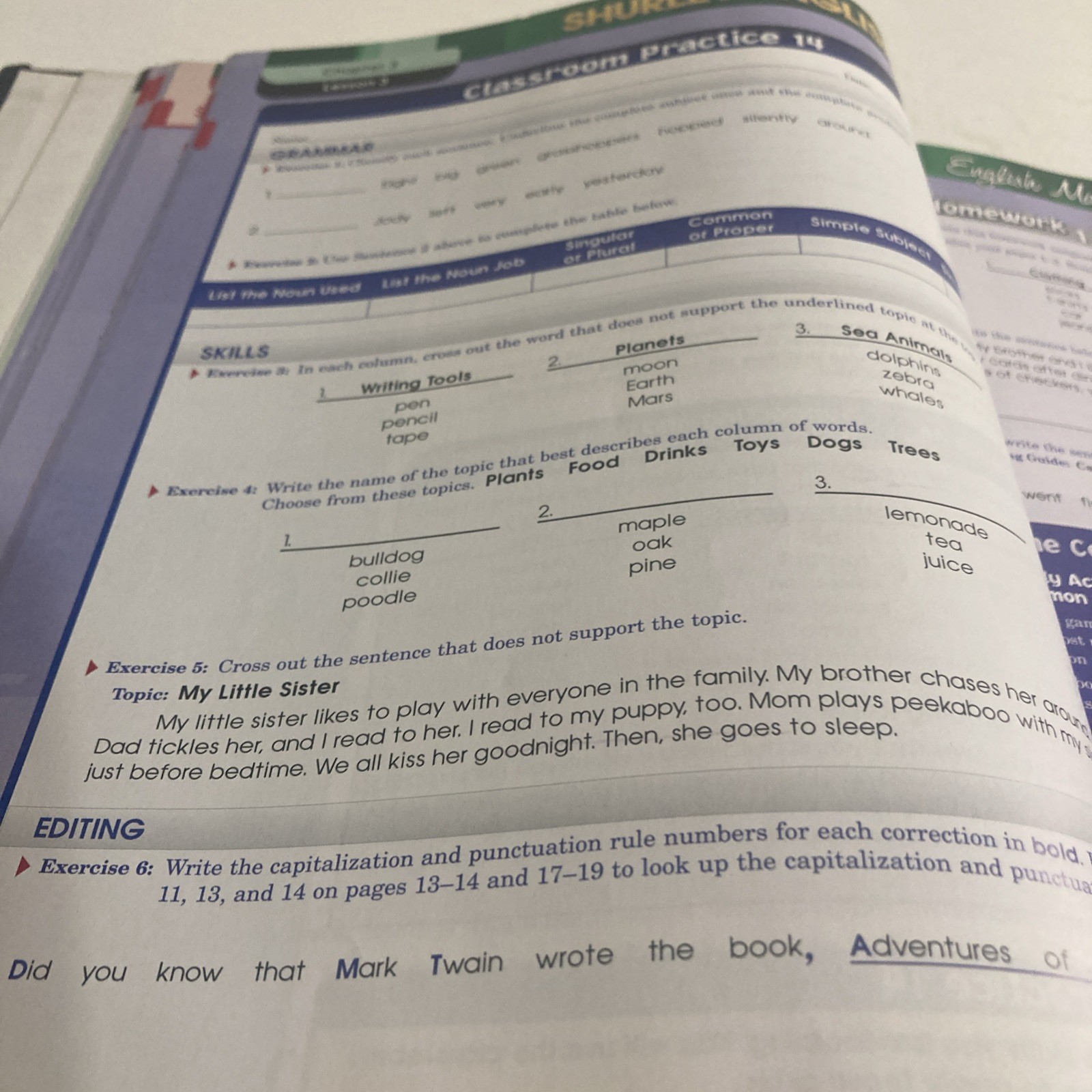 Shurley English Level 3 English Made Easy Student Textbook Level 3 Hardcover