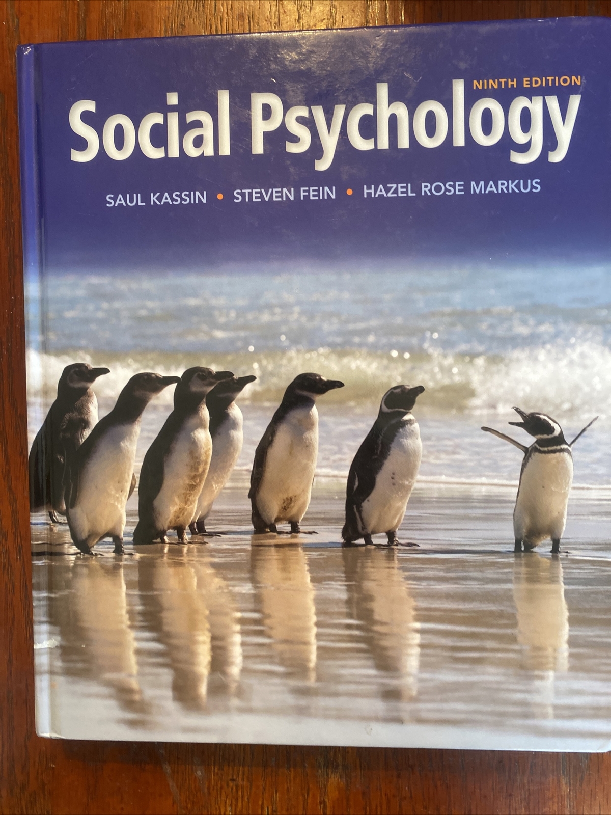 Social Psychology by Steven Fein, Saul Kassin and Hazel Rose Markus (2013,…