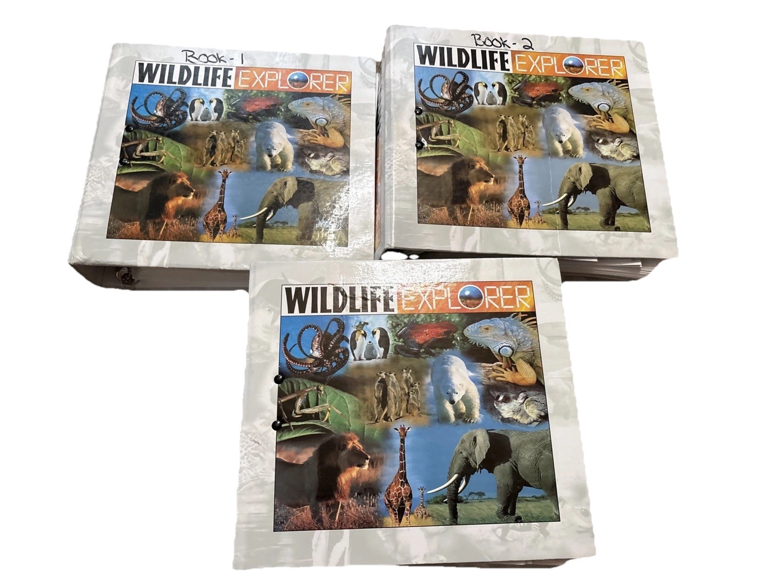 WILDLIFE EXPLORER ~ 3 Binders Full w/Animal Science Groups Various Pages