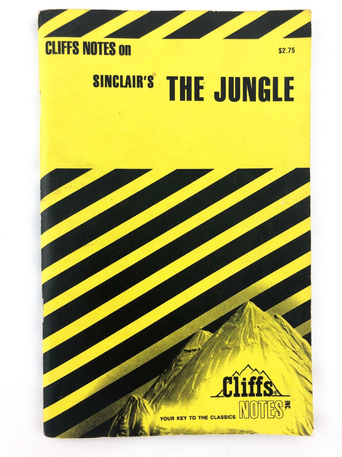Cliff Notes Sinclair’s The Jungle Copyright 1970 Frank H Thompson 96 Pages Guide