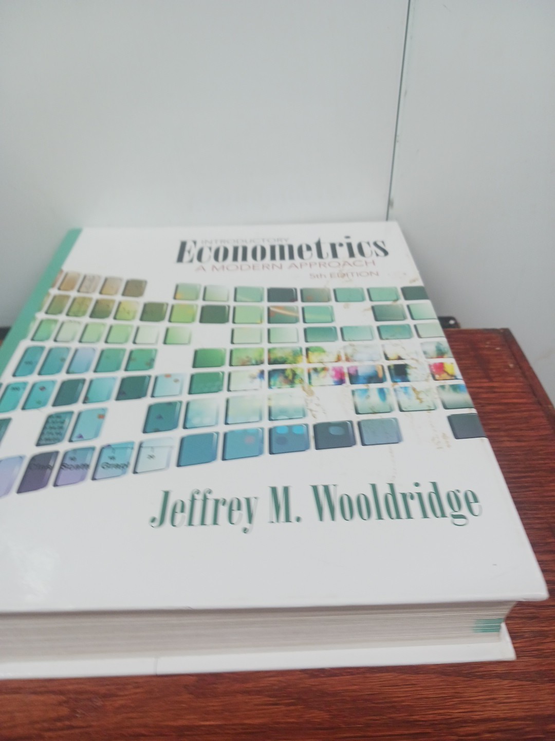 Introductory Econometrics: A Modern Approach (Upper Level Economics Titles)