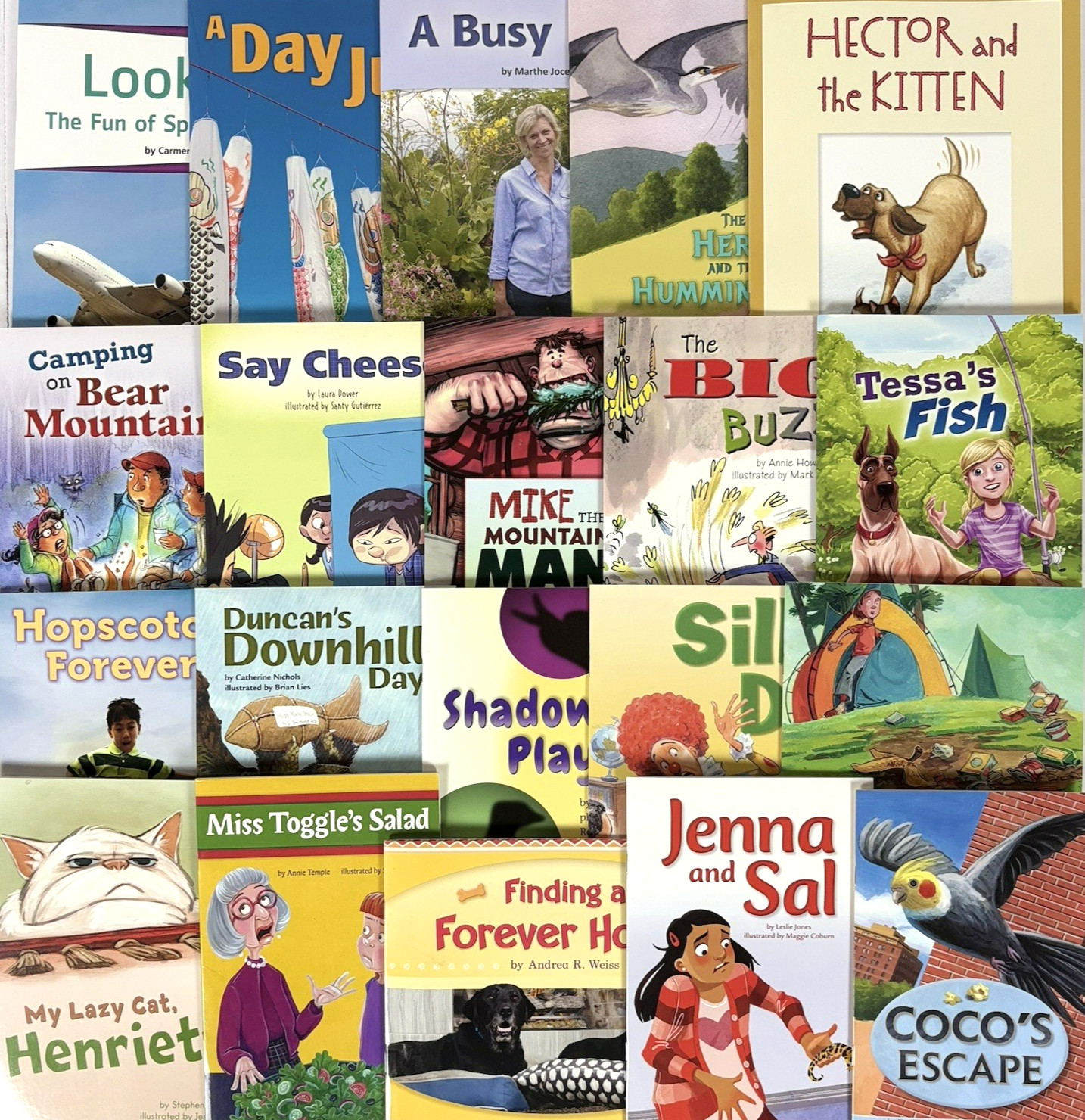 FOUNTAS & PINNELL 3rd Grade Level I-S Guided Readers Complete 200-Book Library