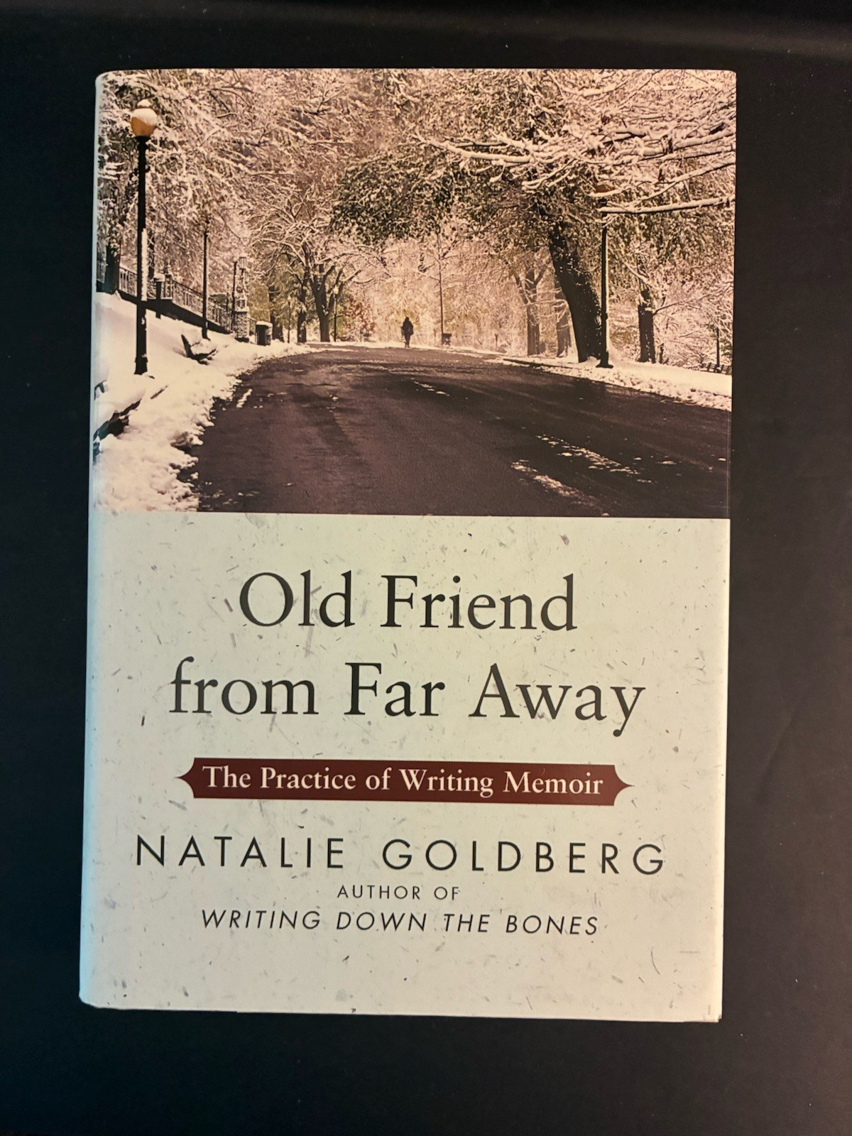 Old Friend from Far AwayThe Practice of Writing Memoir by Natalie Goldberg 1st E