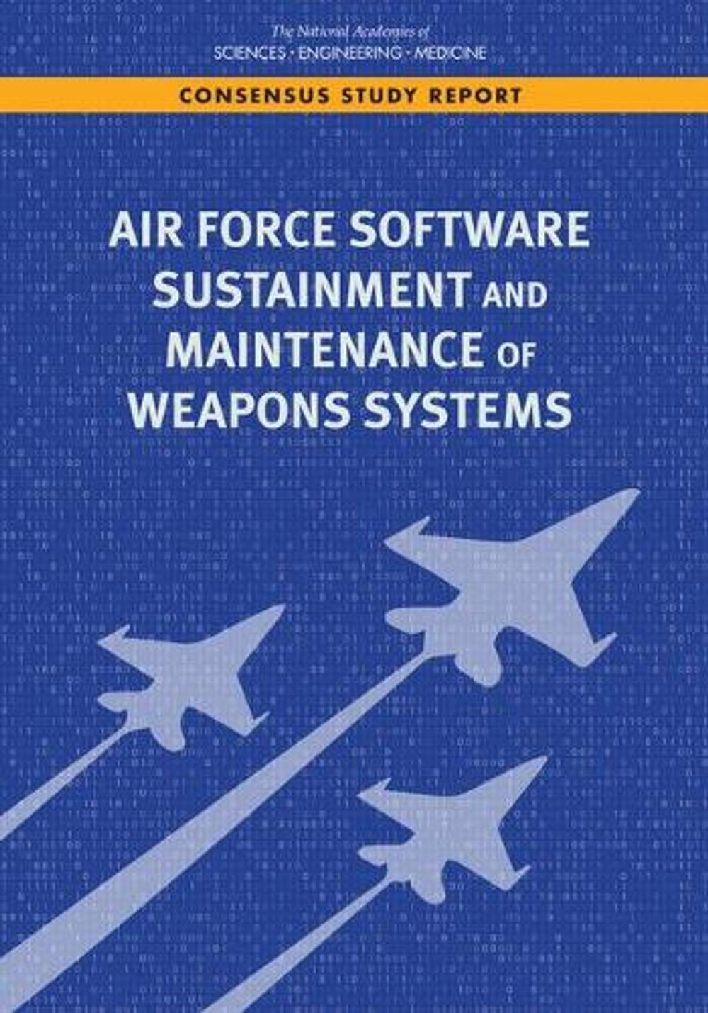 Air Force Software Sustainment and Maintenance of Weapons Systems by Division on