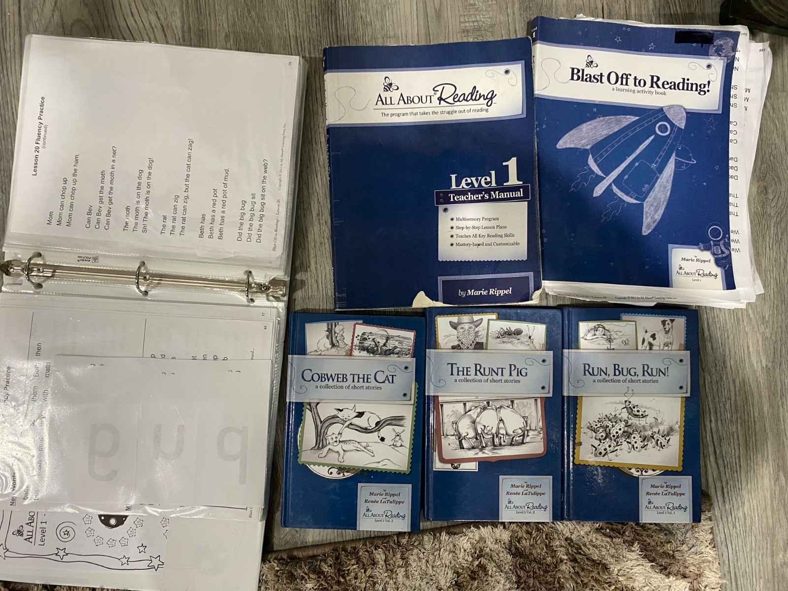 All about Reading Level 1 set by Marie Rippel (2016,…