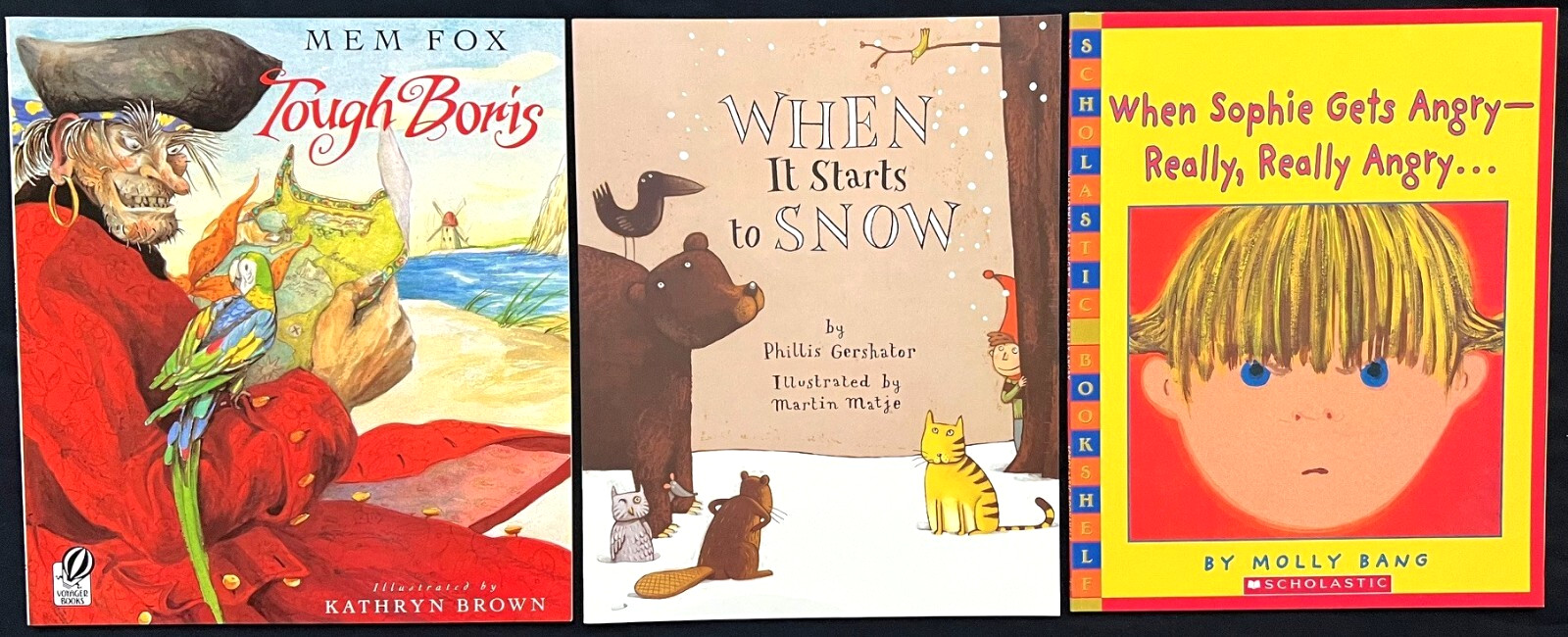Kindergarten – FOUNTAS & PINNELL – Interactive Read-Aloud (12 books) (Set 1)