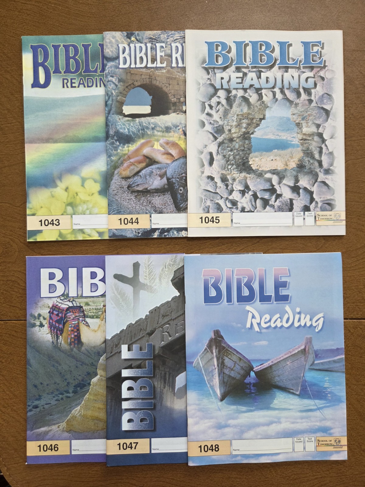 ACE Grade 4 Bible Reading *New* Paces (6) 1043-1048