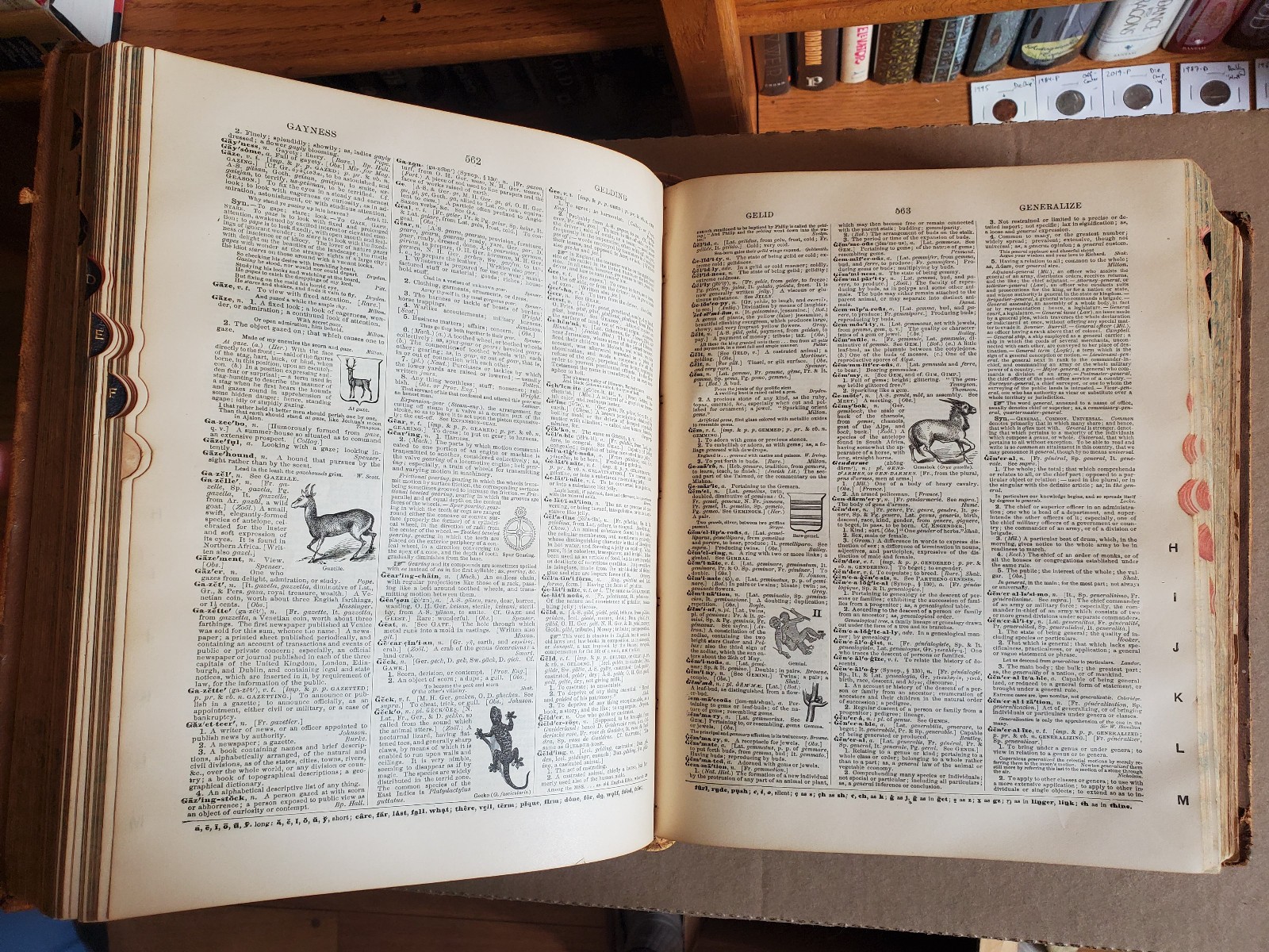 Webster’s Unabridged Dictionary – Leatherbound w/ 3000 Illus. – 1889, HC