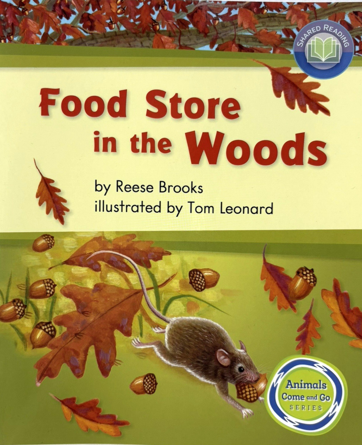 GRADE 1 READERS Homeschool Reading Books Fountas & Pinnell Curriculum 18 Books
