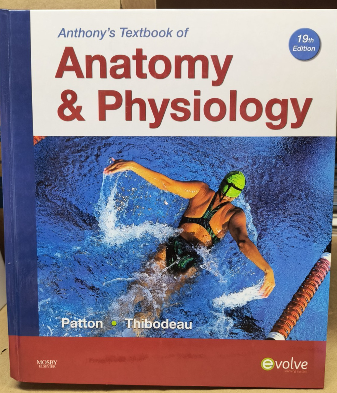 Anthony’s Textbook of Anatomy & Physiology 19th Edition Patton Thibodeau