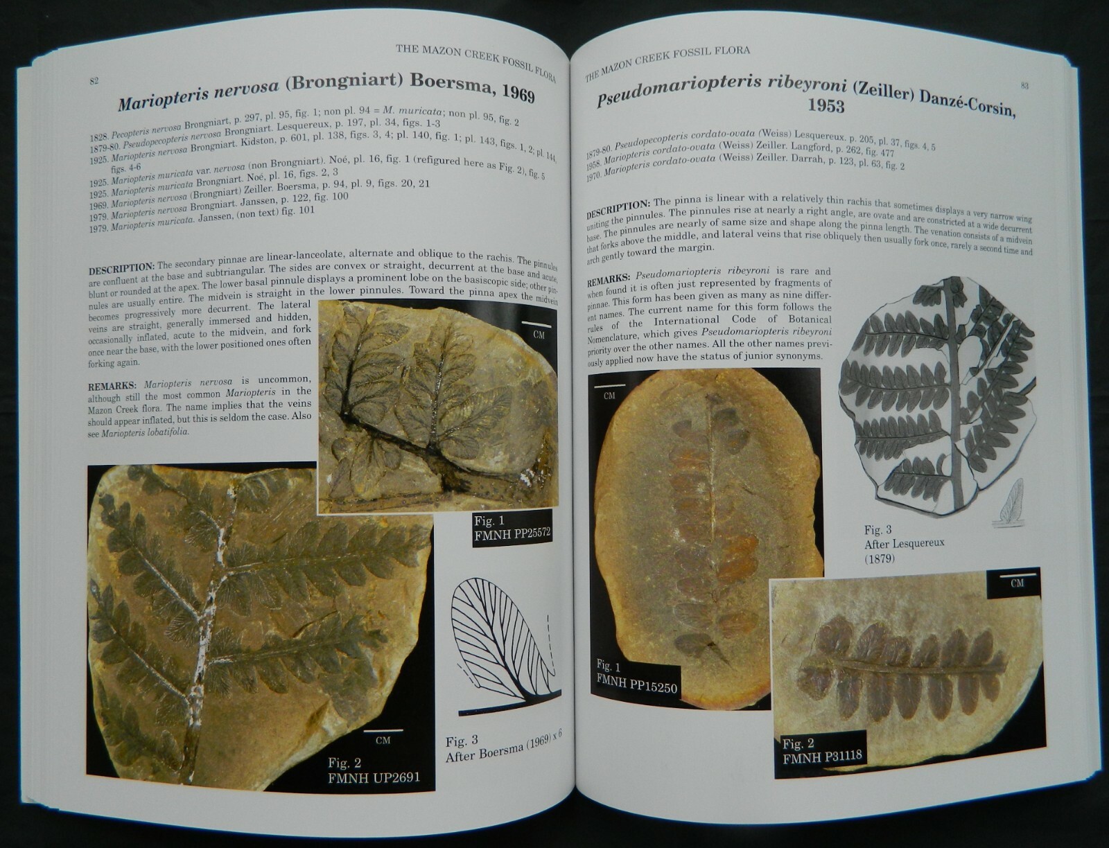 The Mazon Creek Fossil Flora, ESCONI hard cover book, fossil plants, 2006 Wittry
