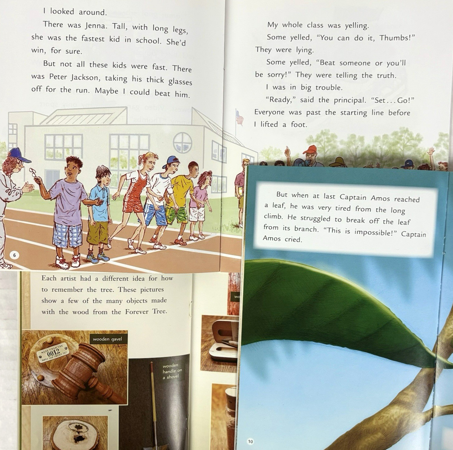 FOUNTAS & PINNELL 3rd Grade Level I-S Guided Readers Complete 200-Book Library