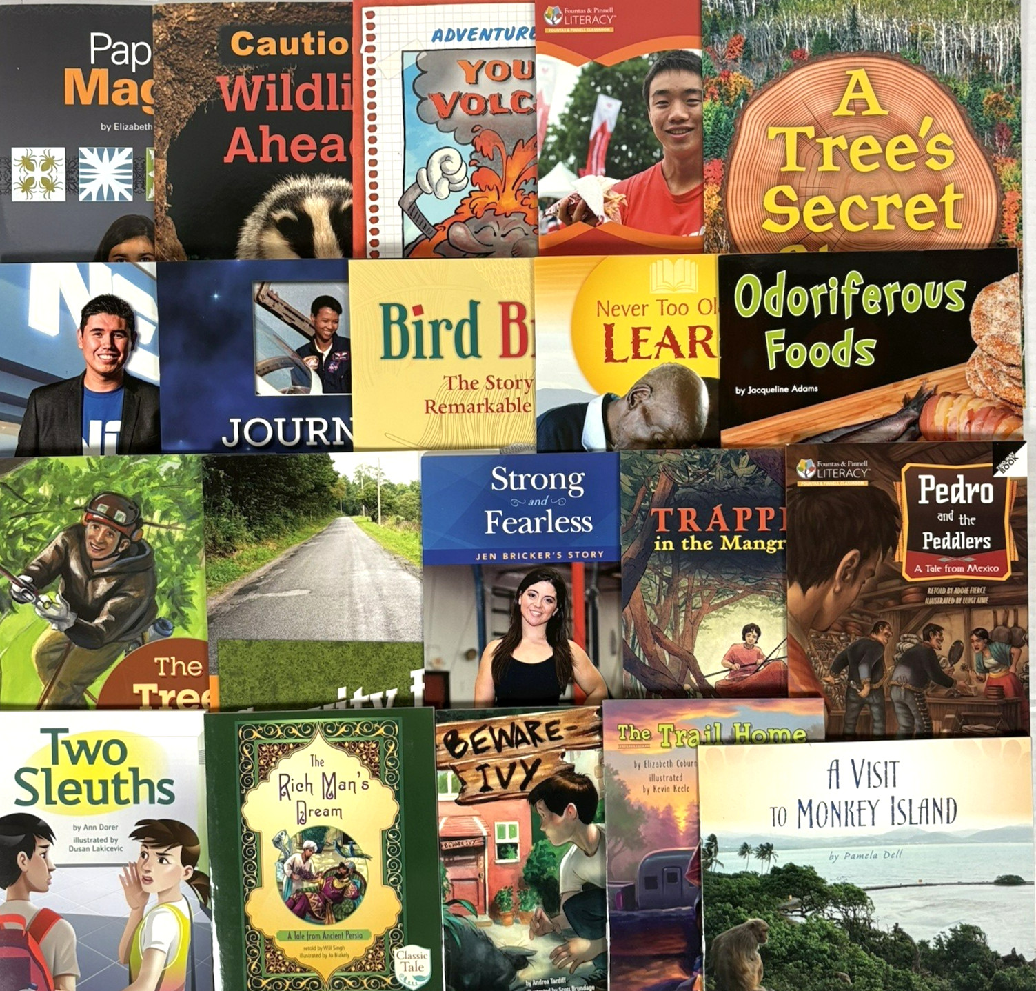FOUNTAS & PINNELL 3rd Grade Level I-S Guided Readers Complete 200-Book Library