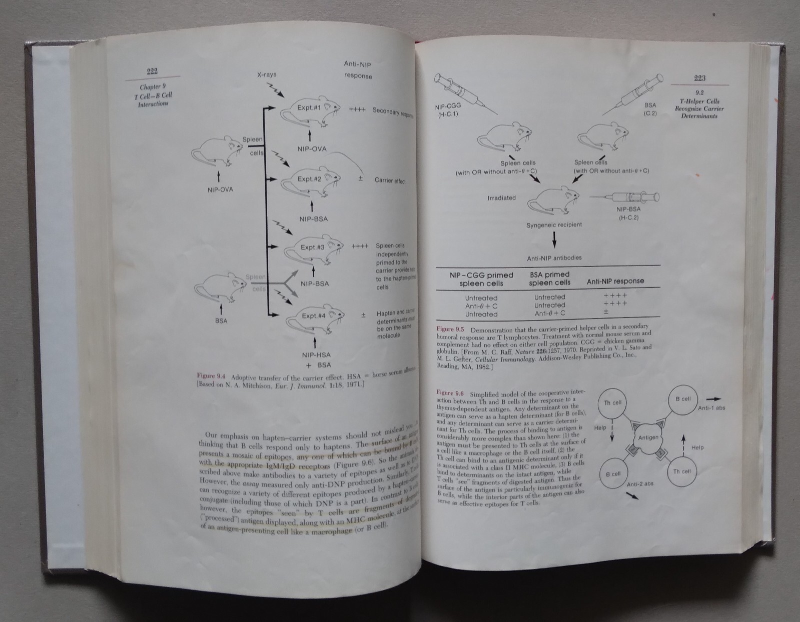 Introduction to Immunology–3rd Edition–John W. Kimball–1990–HC–523 pages