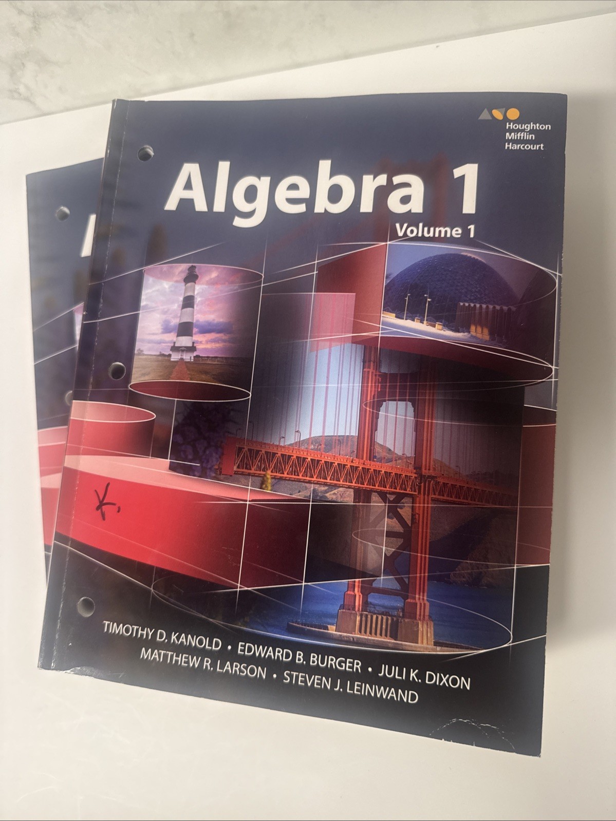 HMH Algebra 1 GoMath Interactive Student Edition Vol 1 & 2 Lot Homeschool Math