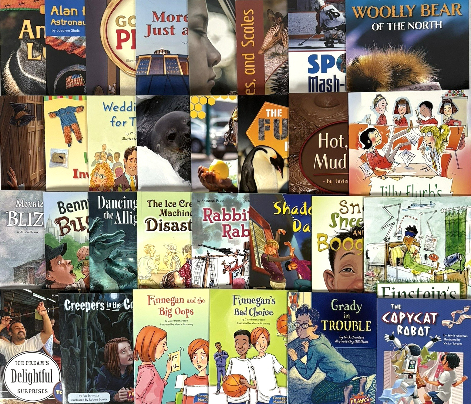 FOUNTAS & PINNELL 3rd Grade Level I-S Guided Readers Complete 200-Book Library