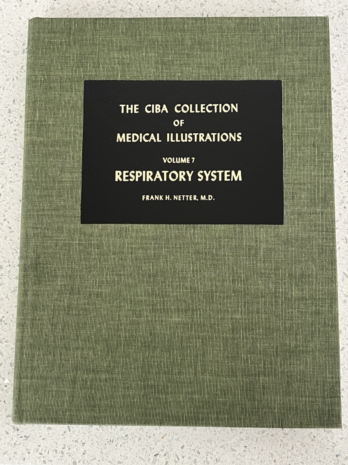 Respiratory System (CIBA Collection of Medical Illustrations, Vol. 7) F.H Netter
