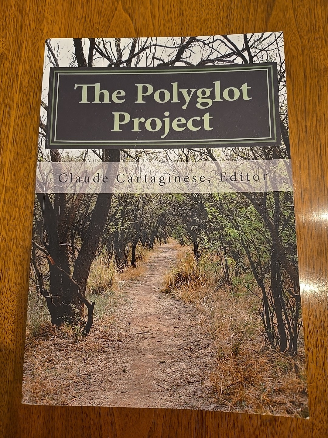 THE POLYGLOT PROJECT: HOW TO LEARN MULTIPLE LANGUAGES Claude Cartaginese LIKENEW