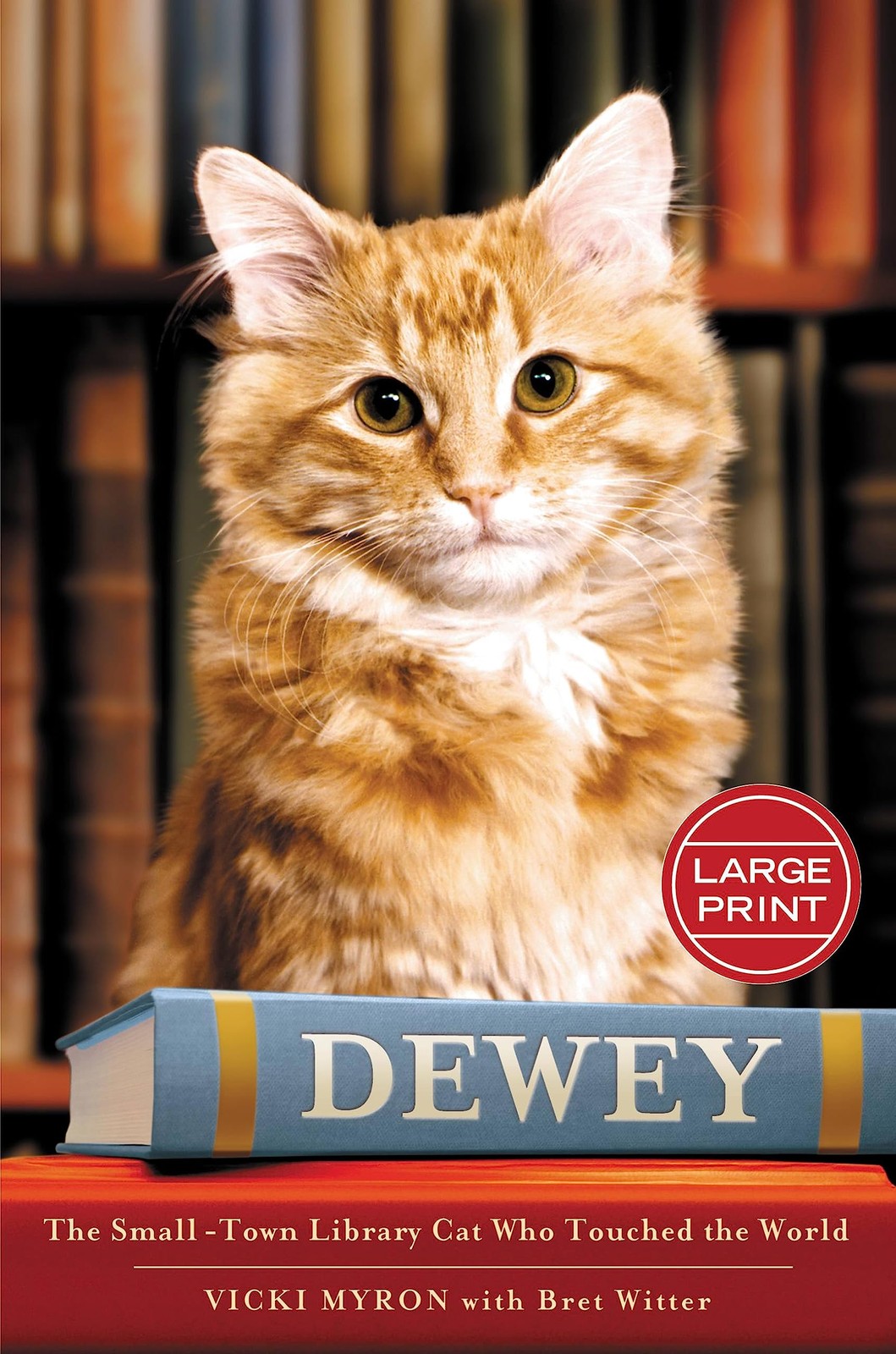 Dewey: The Small-Town Library Cat Who Touched the World – Myron, Vicki|Witte…