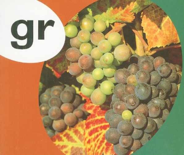 Rigby PM Alphabet Blend & Diagrams: Leveled – Paperback, by RIGBY – Very Good